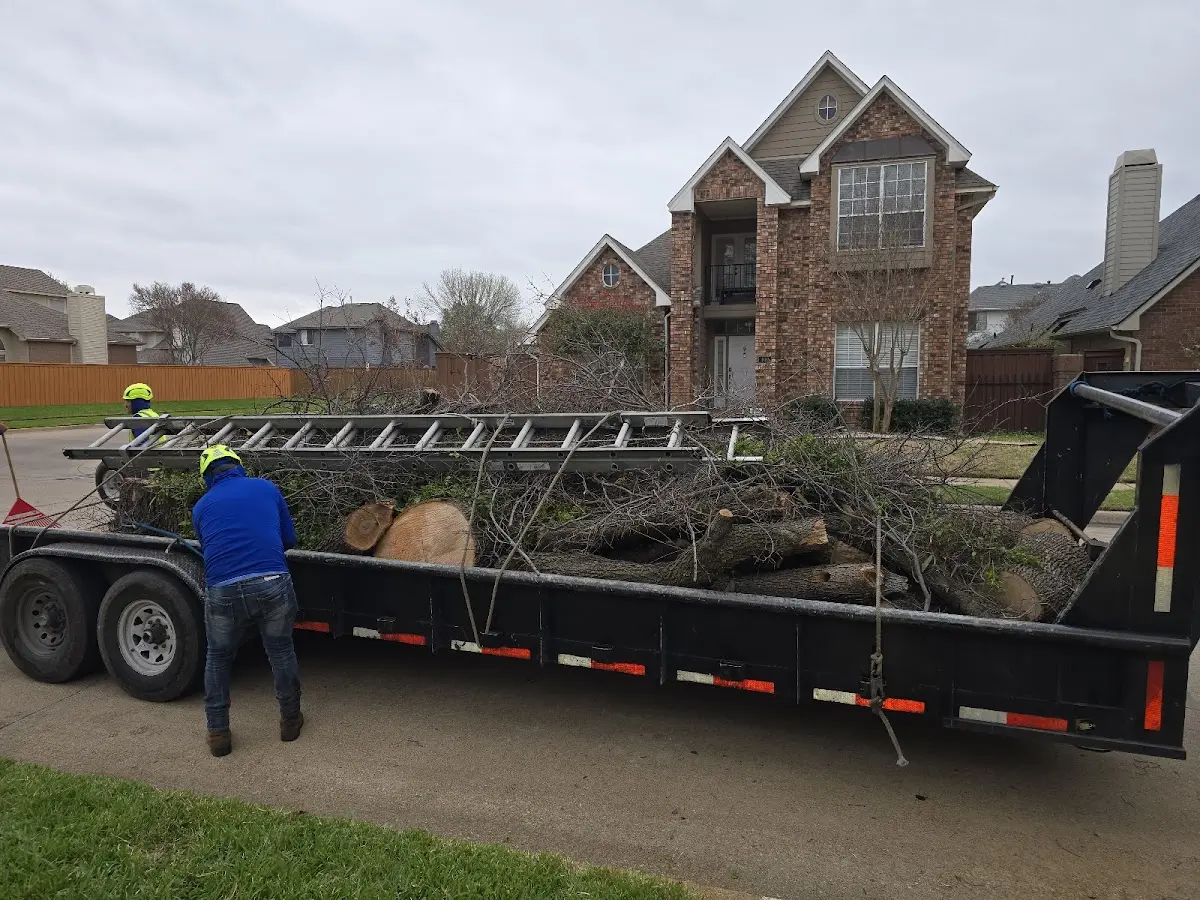 Expert Tree Removal with proper safety equipment in Sac City